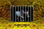 play Bull Escape