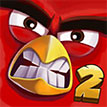 play Crazy Birds 2