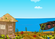 play Escape Jungle Forest Out