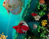 play Underwater 5 Escape