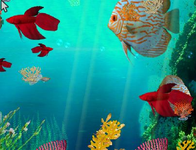 play Cool8 Underwater 5 Escape