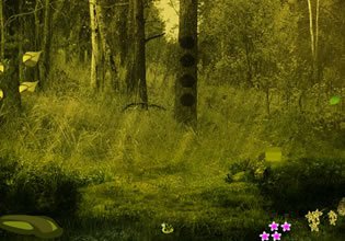 play Orphic Forest Escape