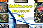 play Sniffmouse Pictureit 65