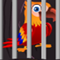 play Colorful Parrot Escape