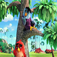play Angry Birds Movie
