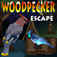 Yal Woodpecker Escape