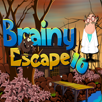 play Brainy Escape 10