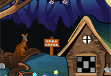 play Woodpecker Escape