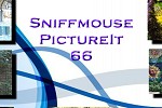 Sniffmouse Pictureit 66
