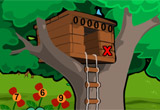play Hill 5 Escape