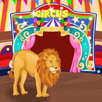 play Circus Lion