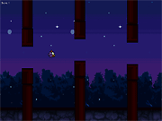 play Nighty Bird