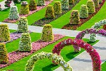 play Garden Flower Escape