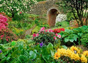 play Garden Flower Escape
