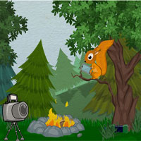 play Cam The Camera