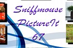 play Sniffmouse Pictureit 67