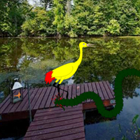 play Escape Yellow Bubulcus From Lake Side