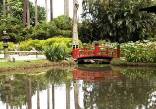 play Escape From Rio De Janeiro Botanical Garden