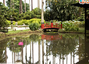 play Escape From Rio De Janeiro Botanical Garden