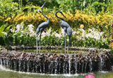 play Escape From Rio De Janeiro Botanical Garden