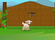 play Baby Goat Escape