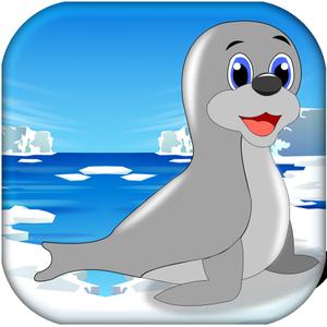 Baby Seal In A Slippery Ice Land