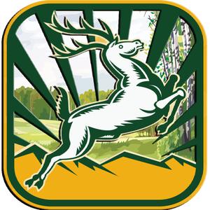 Deer Dash Hunter Escape Pro