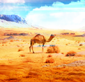 play Escape From Sahara Algeria