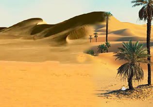 play Escape From Sahara Algeria