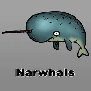 Narwhal Bacon Jumper Pro