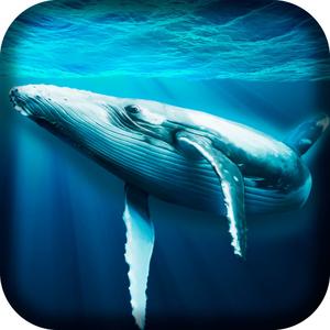 Ocean Whale Simulator 3D Free