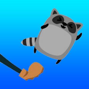 Raccoon Gravity Cosmos Kick Hd