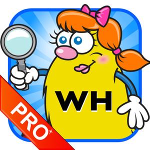 Wh Question Cards - Pro: Who, What, When, Where, Why