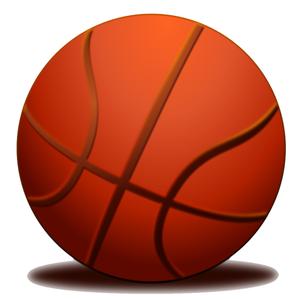 Basket Ball Shooter Pro
