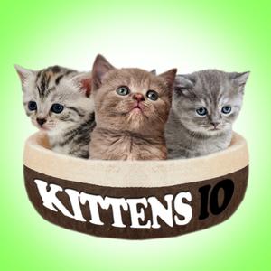 Kittens Io