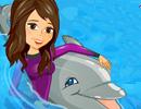 Dolphin Show game