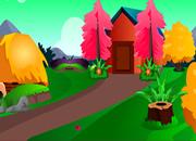 play Chick Peacock Escape