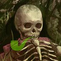 play Skully Forest Escape