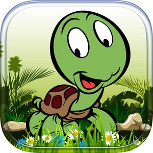 Sea Turtles - Learn To Fly