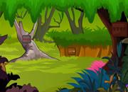 play Bunny Rescue From Forest