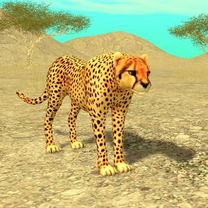 Wild Cheetah Sim 3D – Safari Wildlife Simulator