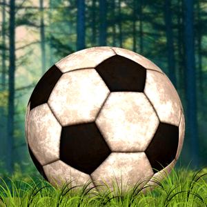 Wild Football Penalty Shootout - Cool Soccer Player Game
