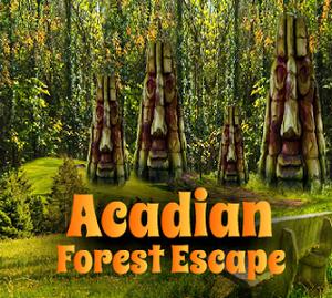 Acadian Forest Escape