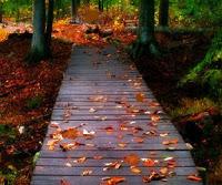 play Fantasy Scenery Escape
