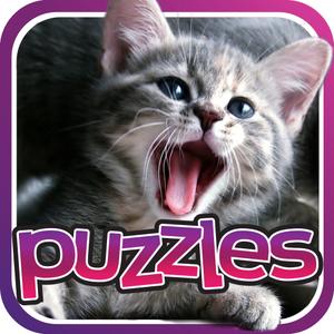 Cat Puzzle - Great Cats, Kittens Pictures Puzzles