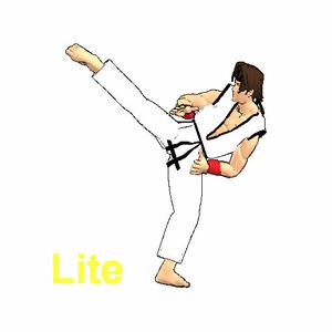 Final Karate Lite Version