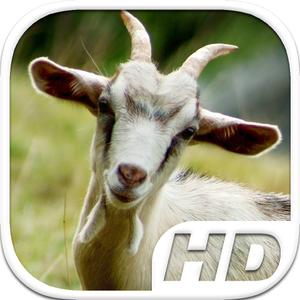 Goat Simulator Hd Animal Life