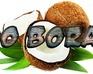 play Buko Boracay