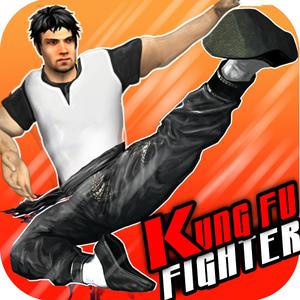 Kung Fu Fighter ( Fighting )