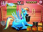 play Rainbow Dash And The New Born Baby